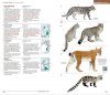 Identifying Animals: All Vertebrates of France, Benelux, Great Britain and Ireland / Tout les Vertébrés de France, Benelux, Grande-Bretagne et Irlande