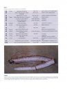 Systematics, Biology, and Distribution of the Species of the Oceanic Oarfish Genus Regalecus (Teleostei, Lampridiformes, Regalecidae)