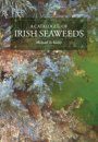 A Catalogue of Irish Seaweeds