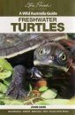 Wild Australia Guide: Freshwater Turtles