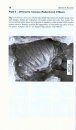 Bibliotheca Diatomologica, Volume 58: Freshwater Diatom Floristics of the Late Eocene Florissant Formation, Clare's Quarry Site, Central Colorado, USA