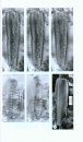 Bibliotheca Diatomologica, Volume 58: Freshwater Diatom Floristics of the Late Eocene Florissant Formation, Clare's Quarry Site, Central Colorado, USA