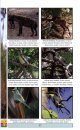 Field Guide to Wildlife of The Gambia