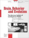 The Nervous System of Cartilaginous Fishes