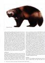 The Natural History of Canadian Mammals