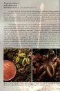 Field Guide to the Carnivorous Plants of the United States and Canada