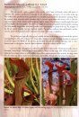 Field Guide to the Pitcher Plants of the United States and Canada