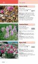 A Field Guide to the Flowers of the Alps
