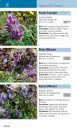 A Field Guide to the Flowers of the Alps