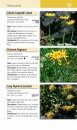 A Field Guide to the Flowers of the Alps
