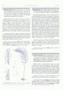 Flora Argentina, Volume 2 [Spanish]