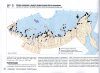 Atlas of Breeding Waders in the Russian Arctic [Russian]