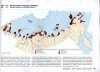 Atlas of Breeding Waders in the Russian Arctic [Russian]