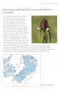 50 Years of Mapping the British and Irish Flora 1962-2012