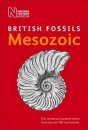 British Mesozoic Fossils