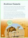 Mammals of Qatar