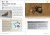 100 Oiseaux Rares et Menacés de France