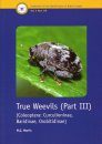 RES Handbook, Volume 5, Part 17d: True Weevils (Part III): Coleoptera: Curculioninae, Baridinae, Orobitidinae