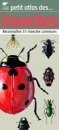 Petit Atlas Des Insectes: Reconnaître 80 Insectes Communs [Little Insect Atlas: Recognizing 80 Common Insects]