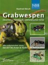 Grabwespen: Illustrierter Katalog der Einheimischen Arten [Sphecoid Wasps: Illustrated Catalog of Native Species]
