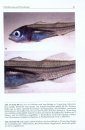 Der Flussbarsch: Biologie, Ãkologie und Fischereiliche Nutzung [The European Perch: Biology, Ecology and Fisheries Use]