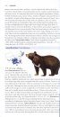 Mammals of China (Pocket Edition)
