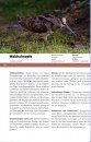 Vogelarten Deutschlands, Österreichs und der Schweiz (2-Volume Set)