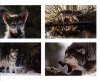 The Hidden Life of Wolves