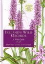Ireland's Wild Orchids