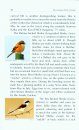 The Common Birds of Simla