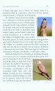 The Common Birds of Simla