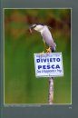 Ornitologia Italiana Atlante Fotografico: Una Panoramica delle Più Belle Immagini dei Fotografi Italiani [Italian Ornithology Photos Atlas: An Overview of The Most Beautiful Images of Italian Photographers]