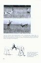 Verhalten der Gazellen [Behaviour of Gazelles]