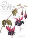 A-Z of Botanical Flowers in Watercolour