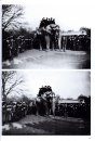 London Zoo from Old Photographs 1852-1914