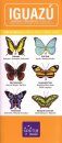 Iguazú: Butterflies and Other Insects: Pocket Guide / Guá de Bolsillo / Guía de Bolso