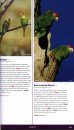 The New Stokes Field Guide to Birds: Eastern Region