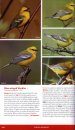 The New Stokes Field Guide to Birds: Eastern Region