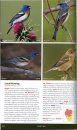 The New Stokes Field Guide to Birds: Western Region