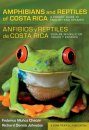 Amphibians and Reptiles of Costa Rica / Anfibios Y Reptiles De Costa Rica