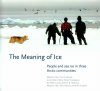 The Meaning of Ice