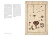 The Drawings of Mushrooms by Claude Aubriet / Les Dessins de Champignons de Claude Aubriet