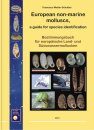 European Non-marine Molluscs, a Guide for Species Identification / Bestimmungsbuch für Europäische Land- und Süsswassermollusken