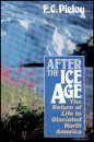 After the Ice Age