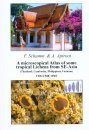 A Microscopical Atlas of Some Tropical Lichens from SE-Asia (2-Volume Set) [English]