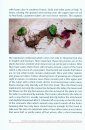 Common Cyclamen (Cyclamen purpurascens Mill.) and Its Diversity in Slovenia