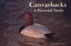 Canvasbacks: A Pictorial Study