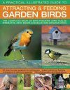 A Practical Illustrated Guide to Attracting & Feeding Garden Birds