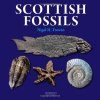 Scottish Fossils