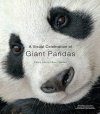 A Visual Celebration of Giant Pandas